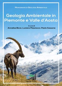Uno streamer sismo-elettrico innovativo per misure geofisiche in movimento lungo argini fluviali