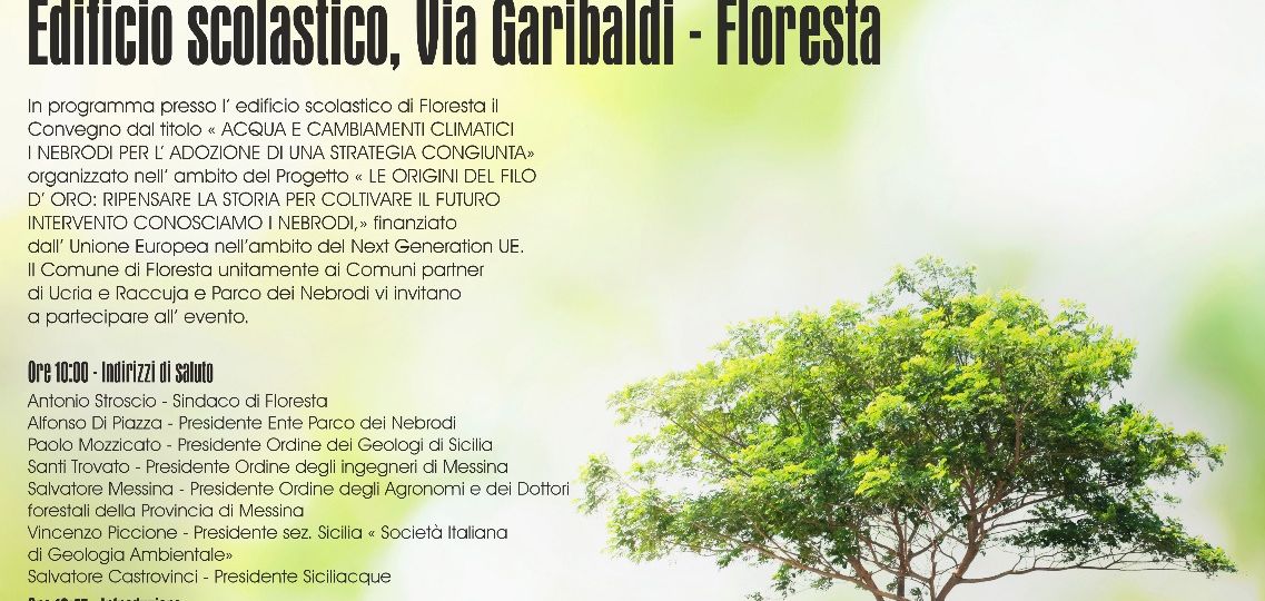 2025-6-14 Floresta