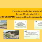 Copertna_sw