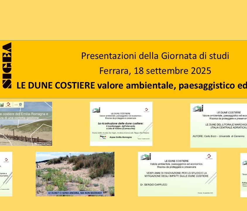 Copertna_sw