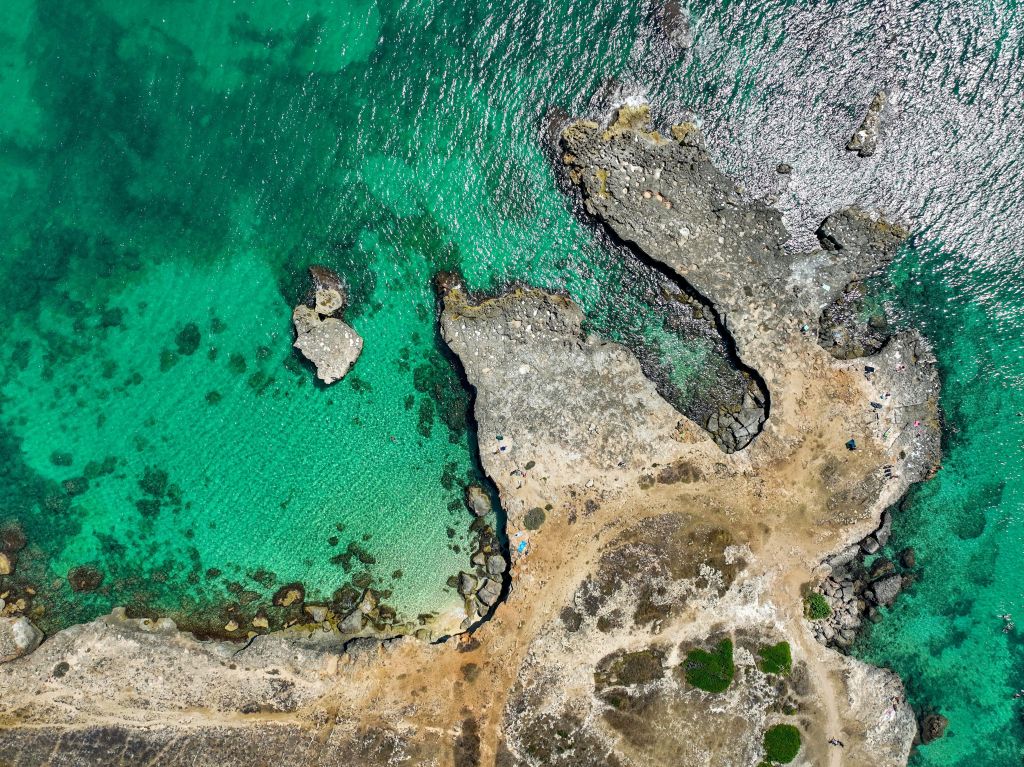 I vincitori della 16a EDIZIONE (2025) del concorso fotografico  