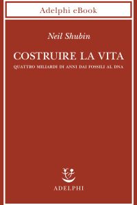 Costruire La Vita Costruire La Vita