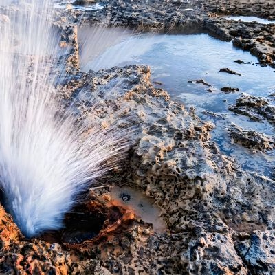 Copertina_Caroppo Oreste_ Il Soffione di Nettuno a Roca Vecchia (2)